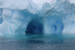Экспедиционный круиз к Антарктическому полуострову «Пересекая полярный круг» с посещением моря Уэдделла на борту теплохода Plancius рис.4