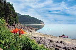 Экспедиционный тур на Шантарские острова «Шантарские острова и киты Охотоморья» рис.2