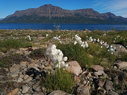 Комбинированный тур на Плато Путорана «Лучшее на Плато» рис.5