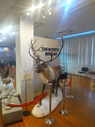 Экспедиционный тур в Якутии и Магаданской области «Якутск – Оймякон – Магадан» рис.4