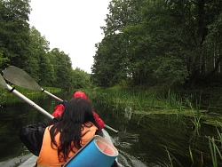 Сплав на байдарках по реке Ушна во Владимирской области на майские и июньские праздники рис.4