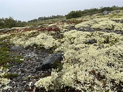 Экскурсионный тур на Кольский полуостров «Тайны Севера» рис.5