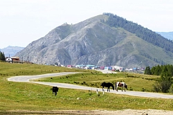 Комбинированный тур на Алтае «Сокровенная мудрость Алтая и рафтинг по Средней Катуни» рис.2