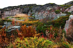Тур на багги на Кольском полуострове «Приключения на Русском севере» рис.3