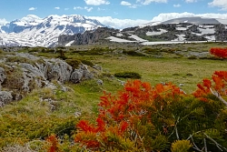 Комбинированный тур в Адыгею «Маёвка в горах» рис.2