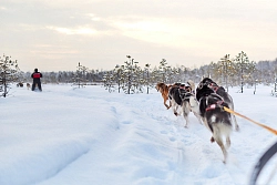 Комбинированный тур в Карелии «Снежные приключения» рис.5
