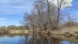 Сплав на байдарках во Владимирской области «Малое путешествие по Мещере» на  майские и июньские праздники (4 дня) рис.4