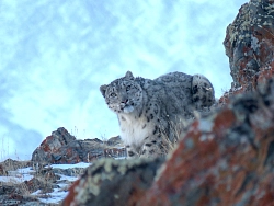 Комбинированный тур на Алтае «Неизвестный Алтай» рис.4