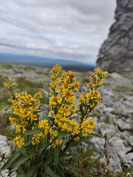 Вертолётное путешествие на плато Маньпупунер рис.3