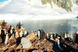 Парусная экспедиция к Антарктическому полуострову на судне Scorpius (с однократным перелетом через пролив Дрейка) (Пунта-Аренас – Ушуайя) рис.2