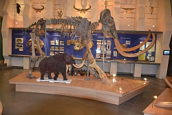 Комбинированный тур в Якутии «Открой неизведанную Якутию» рис.5