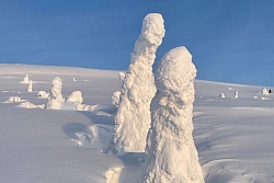 Тур на снегоходах на Кольском полуострове «Русская Лапландия» рис.4