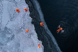 Комбинированный тур на Кольском полуострове «Беломорская сказка» рис.5