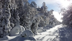 Тур на снегоходах в Свердловской области «По Седому Уралу» рис.5