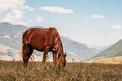 Пеший тур на Кавказе «Золотая осень на Домбае» рис.4