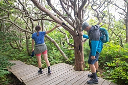 Экспедиционный круиз на Дальний Восток «От Приморья до Сахалина» на судне «Профессор Хромов» 7 дней рис.4