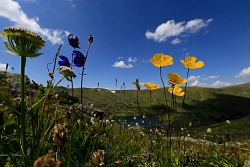Активный тур на Алтае «Спортивно-оздоровительный палаточный лагерь»  рис.3