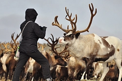 Активно-экскурсионный тур на Камчатку «Камчатские истории» рис.2