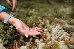 Индивидуальный экскурсионный тур «Красноярск + Северный Байкал + Бурятия» рис.5